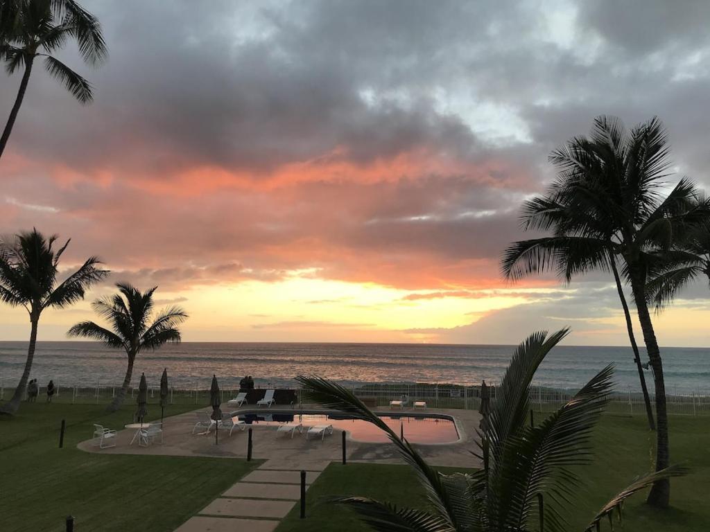 ***Serendipity On The Moana - Legal & Oceanfront - Great For Work & Play!*** Waianae Exterior foto